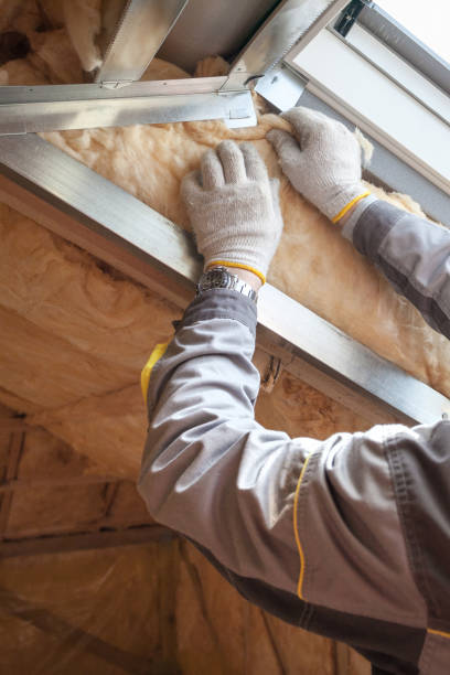 Best Cellulose Insulation in Burgettstown, PA